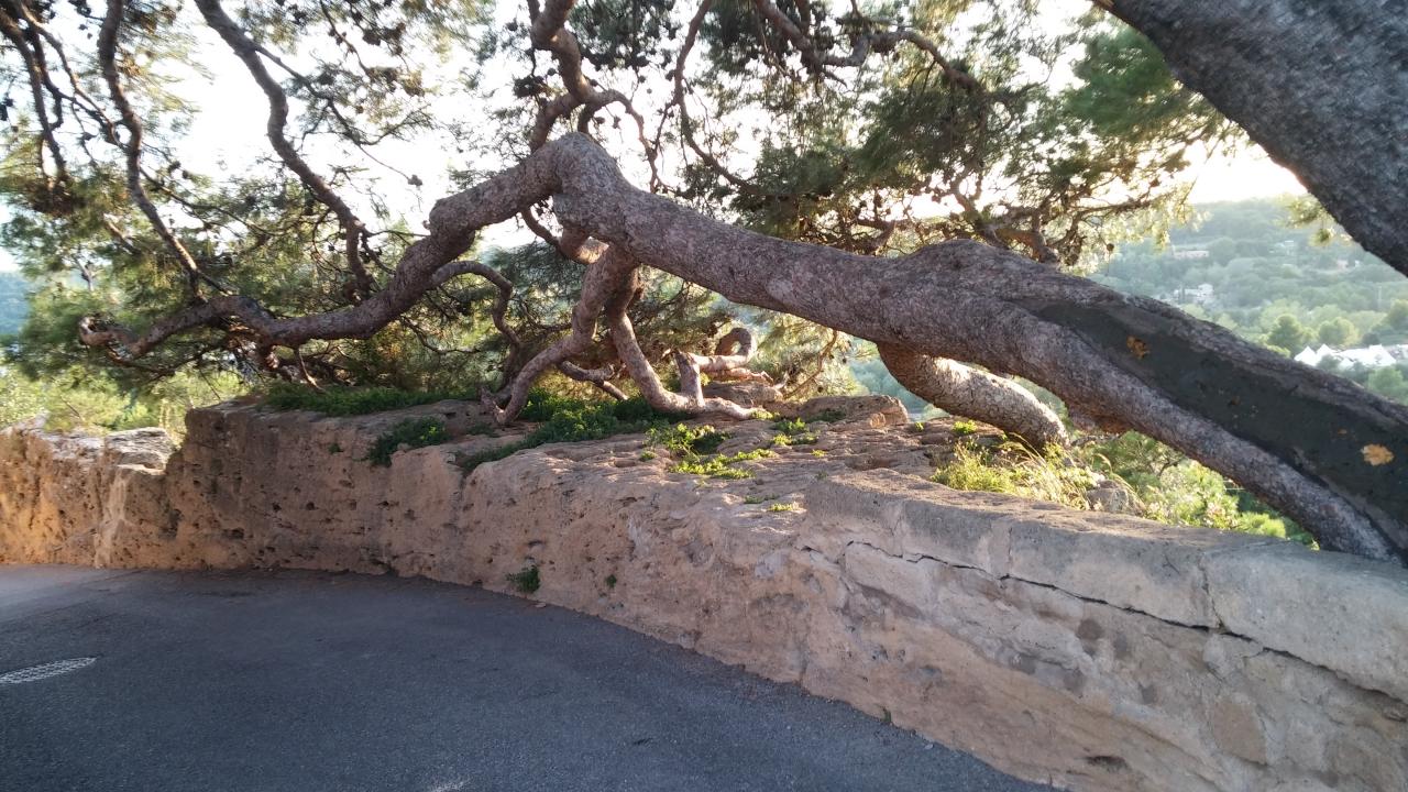 Miramas le Vieux
