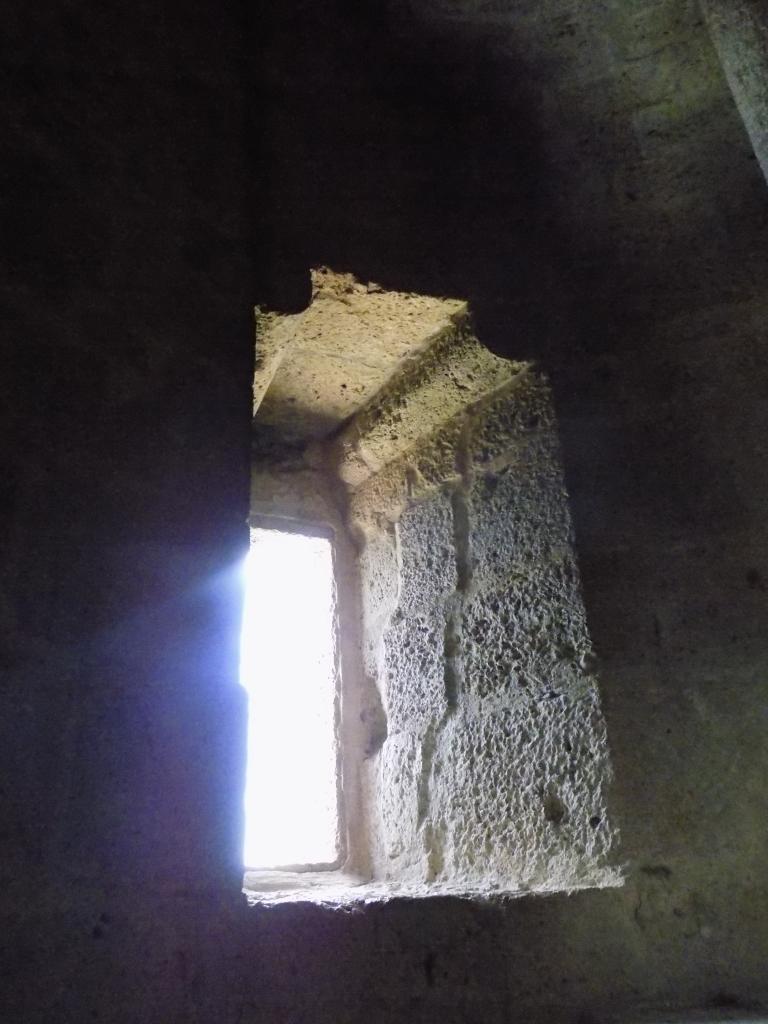 DSCN3116