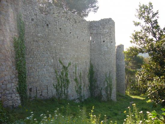 Château de Clermont l'Hérault