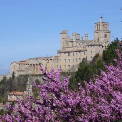 Cathédrale St Nazaire à Béziers