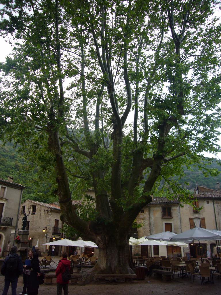 St Guilhem le Désert